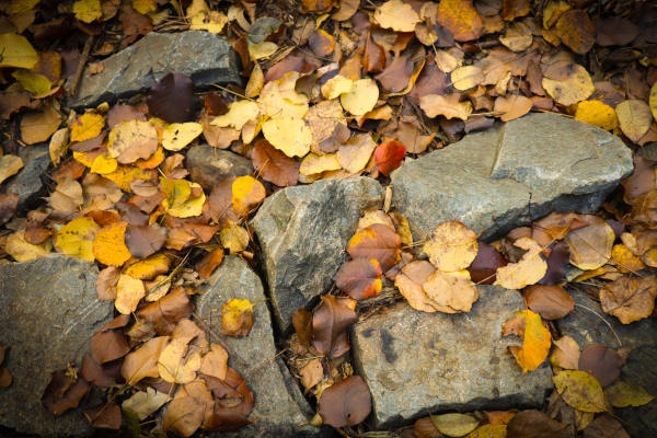 rocky soil